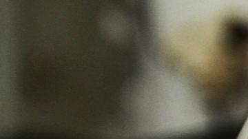 Tres fuertes sismos estremecen el sur de Chile