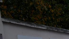 La Policía turca confirma que el atentado provino de los kurdos de Siria