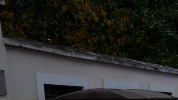 La Policía turca confirma que el atentado provino de los kurdos de Siria