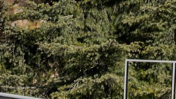 Un muerto y varios heridos en ataques con bomba en Jerusalén