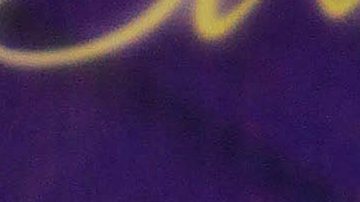 Mitzy pide perdón a Verónica Castro | Mezcalent.