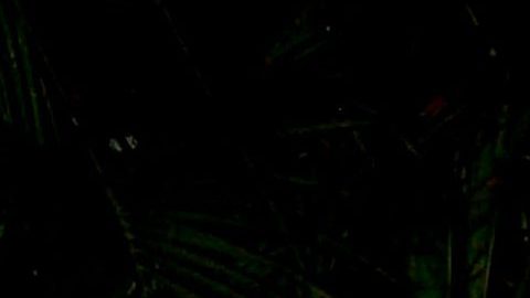 Hijo de Andrés García amenaza de nuevo | Mezcalent.