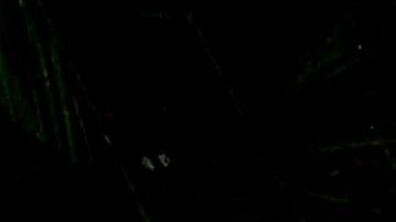 La disputa por la herencia de Andrés García será reñida en tribunales una vez que el actor haya muerto