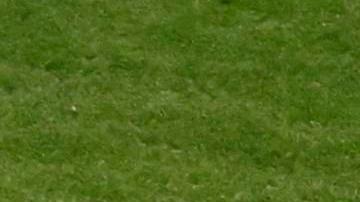 El delantero alemán anotó su primer gol en Mundiales.