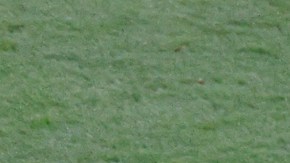 Alemania podría quedar por segundo Mundial consecutivo en fase de grupos.