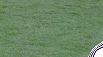 Alemania podría quedar por segundo Mundial consecutivo en fase de grupos.