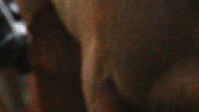 Adiós a las herraduras, ahora puedes comprarle unos tenis de más de US$1000 a tu caballo