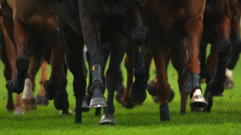 Adiós a las herraduras, ahora puedes comprarle unos tenis de más de US$1000 a tu caballo