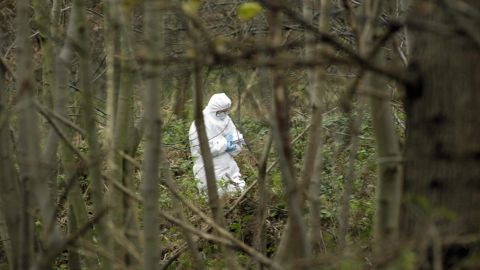 Adolescente de California encontrada muerta experimentó con drogas antes de huir de su casa
