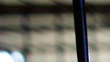 Adorable perrito sorprende en Instagram al ser grabado diciendo “hola”