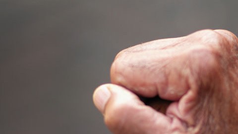 No todos los días alguien puede presumir de cumplir un siglo de vida