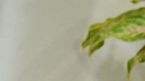 Biden y Xi Jinping celebrarán primera reunión en persona, cuando las relaciones entre ambos países están en su punto más bajo