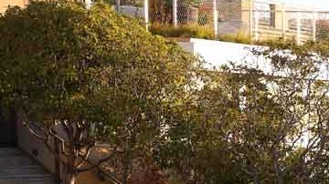 David DePape irrumpió en el domicilio de la familia Pelosi con el objetivo de hacerle daño