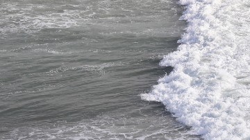 Cerco fronterizo entre Tijuana y San Diego