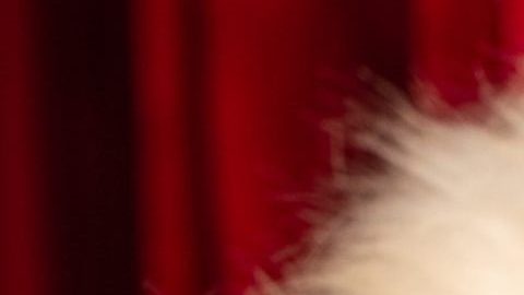 Chiquis estrena canción de Navidad, Jingle Bells.