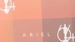 Desde 2007, Christian Chávez declaró públicamente ser homosexual