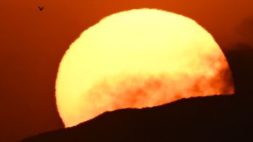 Científicos revelan cuándo morirá nuestro Sol, será épico