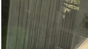 Michelle Renaud y Matías Novoa