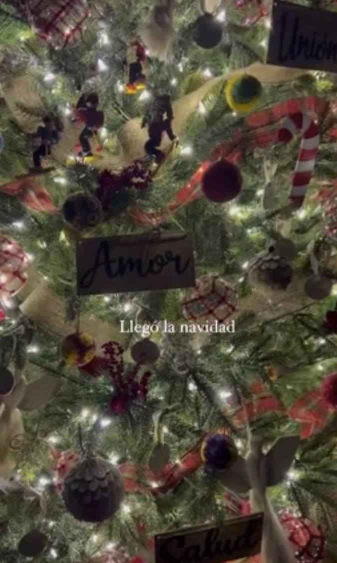 Mayrín Villanueva mostró unos aspectos de su árbol de Navidad (Mayrín Villanueva/Instagram)