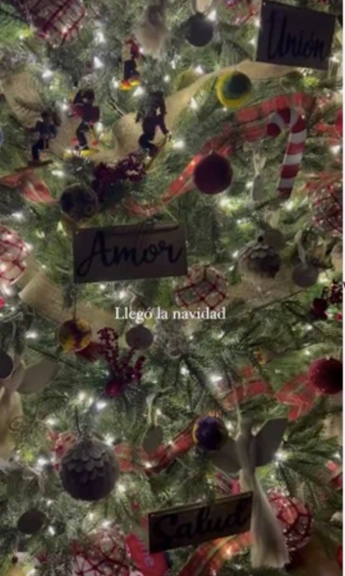 Mayrín Villanueva mostró unos aspectos de su árbol de Navidad (Mayrín Villanueva/Instagram)