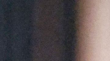 Confirman que los 4 estudiantes de Idaho hallados muertos fueron asesinados en un ataque 'dirigido' con cuchillo