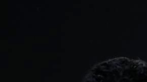 Ecuador en juego amistoso contra Irak.