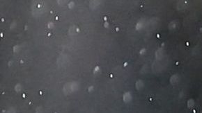 El defensa Trent Sainsbury quedó fuera de la convocatoria de Australia al Mundial Qatar 2022.