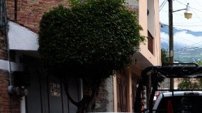 Escena del crimen