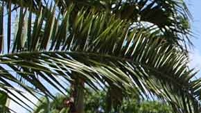 Se dispararon las tasas de las hipotecas para adquirir una vivienda en Estados Unidos