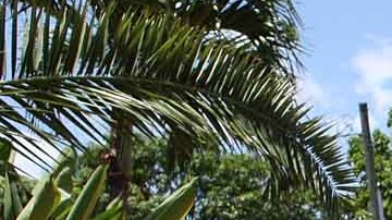 Se dispararon las tasas de las hipotecas para adquirir una vivienda en Estados Unidos