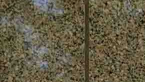 El FBI se encontraría en el ojo del huracán