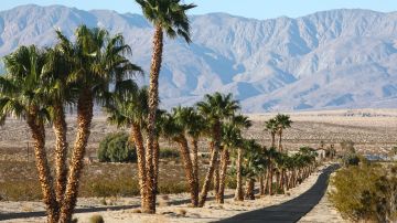 Familias mexicanas buscan hasta $2 mil millones de dólares en restitución por desalojos forzosos de Palm Springs hace 70 años
