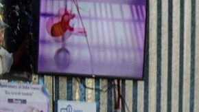 Miles de inmigrantes permanecen en Tijuana en busca de una oportunidad para entrar a EEUU.