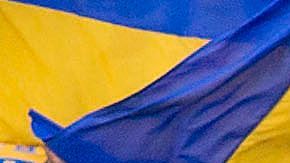 Fanaticada de los Tigres de la UANL.