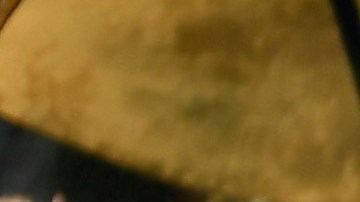 Fanaticada del LAFC.