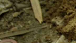 La policía busca a los responsables de prenderle fuego a un feto