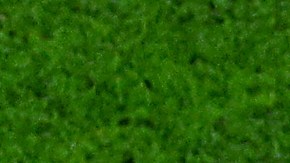 Gales empató con Estados Unidos en su primer juego del Mundial Qatar 2022.