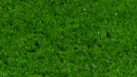 Gales empató con Estados Unidos en su primer juego del Mundial Qatar 2022.