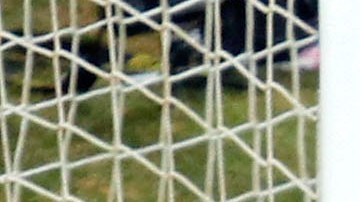 El ex atacante uruguayo le picó un penal a Ghana en Sudáfrica 2010.