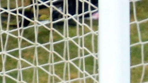 El ex atacante uruguayo le picó un penal a Ghana en Sudáfrica 2010.