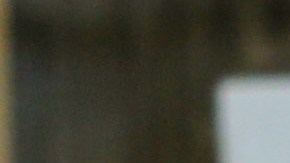 VIDEO: Hombre en Chile devuelve en tienda celular robado por su hija y pide perdón en medio de llanto