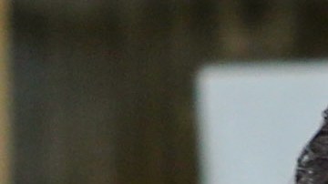 VIDEO: Hombre en Chile devuelve en tienda celular robado por su hija y pide perdón en medio de llanto