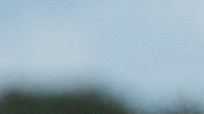 El expresidente Donald Trump se enfrentará a una seria competencia presidencial ante Ron DeSantis.