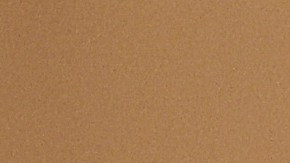 Tim Scott aspira a por lo menos desplazar a Ron DeSantis en el segundo puesto de las preferencias republicanas