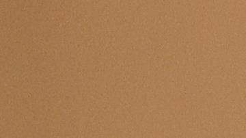 Tim Scott aspira a por lo menos desplazar a Ron DeSantis en el segundo puesto de las preferencias republicanas