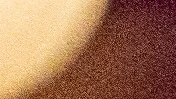 Police tape blocks off the crime scene outside a church where a man shot dead four people, including three of his children, before turning the gun on himself, February 28, 2022 in Sacramento, California. - A father shot dead three of his own children on February 28 before turning the gun on himself in a US church, police said. A fifth person also died in the shooting in Sacramento, California, though it was not clear if that person was related to what police said was a domestic incident. (Photo by Andri Tambunan / AFP) (Photo by ANDRI TAMBUNAN/AFP via Getty Images)