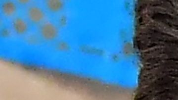 Registered Nurse Mariam Salaam administers the Pfizer booster shot at a Covid vaccination and testing site decorated for Cinco de Mayo at Ted Watkins Park in Los Angeles on May 5, 2022. - Covid cases in Los Angeles County have topped 3,000 for the first time since mid-February with cases up nearly 300 percent in the past month, sparking concern of a potential "sixth wave" pandemic in the US. (Photo by Frederic J. BROWN / AFP) (Photo by FREDERIC J. BROWN/AFP via Getty Images)