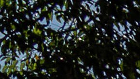 Monjes en templo de Tailandia son expulsados después de dar positivo por metanfetamina