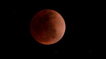 Eclipse de Luna de este 8 de noviembre de 2022 podrá verse en EE.UU. y México: ¿A qué hora será?
