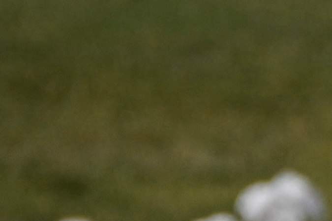 Un Monumento a las víctimas de la Violencia Armada se erigió en el National Mall en Washington, DC, el 7 de junio de 2022.